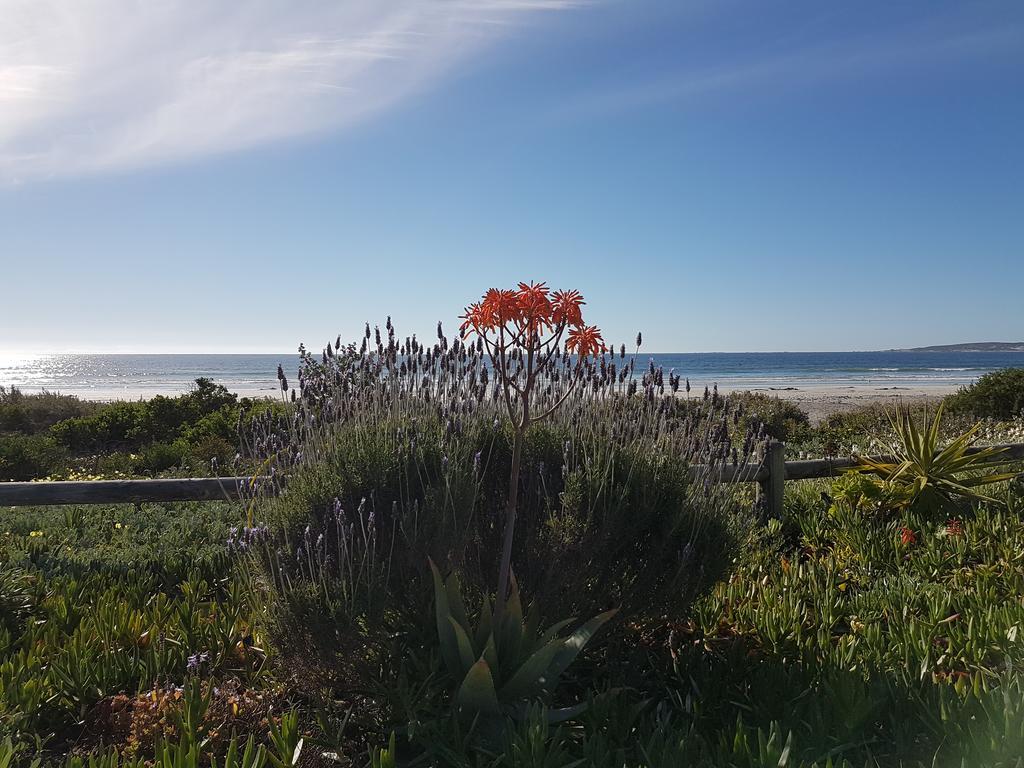 Hoekie B&B Paternoster Esterno foto